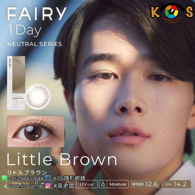 FAIRY 1day Neutral series Little Brown フェアリー ワンデーニュートラルシリーズ リトルブラウン